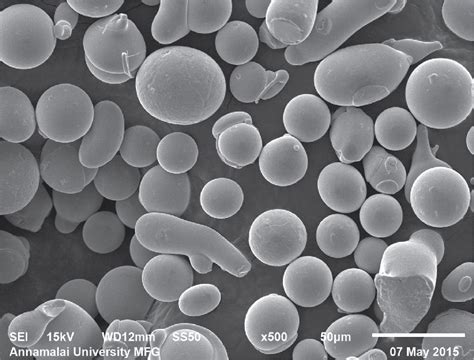 Electrochemical Corrosion Behaviour Of HVOF Sprayed Iron Based