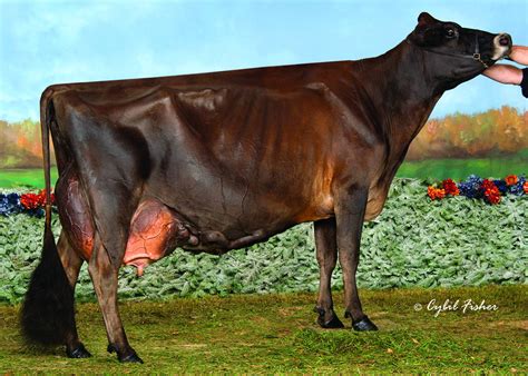 legacy series ron  christy ratliff  ratliff jerseys garnett