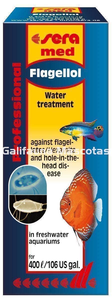 Sera Professional Flagellol Medicaci N Profesional Para Peces