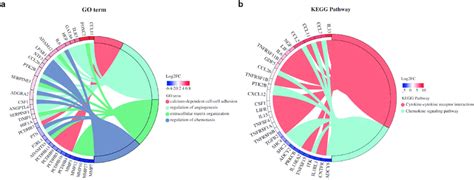 Chord Plot Analysis Of Go Terms And Kegg Pathways A Go Chord Plot Of