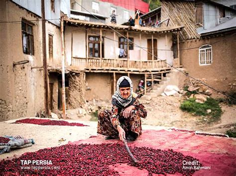 Hir Village: Qazvin's Cornelian Cherry Village | TAP Persia