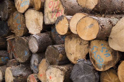 How to Get Free Lumber for All of Your DIY Projects