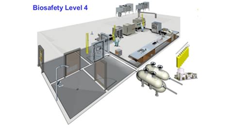 Biosafety Biosafety Level Dan Biosafety Cabinet