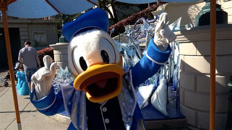 Donald Duck Meet and Greet at Disneyland Paris — dlrpfans