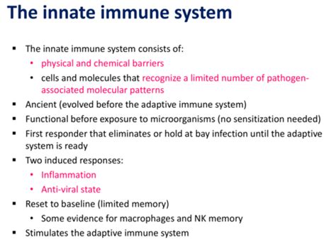 Lect 15 Innate Immunology Flashcards Quizlet