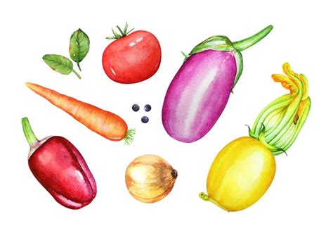 Watercolor Vegetables Set Stock Vector Dinal