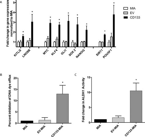 Expression Of The Cancer Stem Cell Marker Cd133 Results In Increased