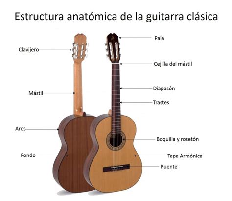 Las Mejores GUITARRAS ESPAÑOLAS de 2020Opiniones