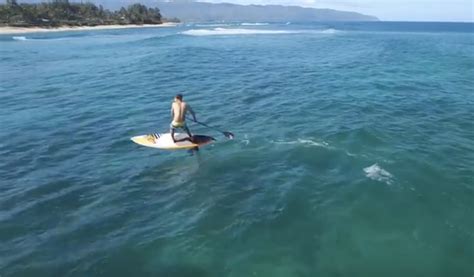 Sup Surf Foiling Hawaii Sup World Mag