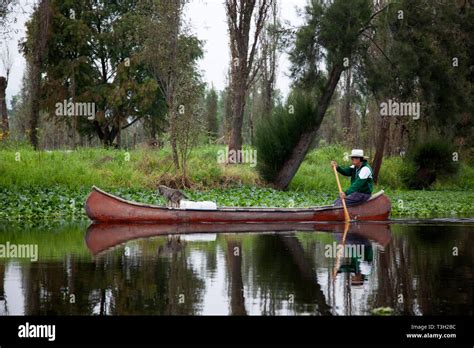 Aztec farming hi-res stock photography and images - Alamy