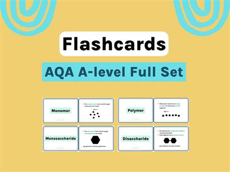 A Level Biology Flashcards Aqa Etsy