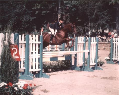 113 best images about Equitation on Pinterest | Madison square garden, Brooke d'orsay and ...