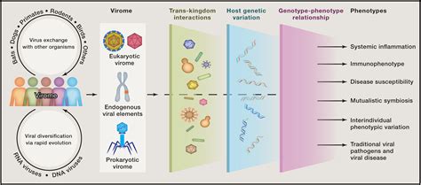 The Virome In Mammalian Physiology And Disease Cell