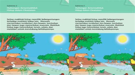 Kunci Jawaban Tema 5 Kelas 5 Halaman 56 57 59 Subtema 2 Hubungan Antar Makhluk Hidup Dalam