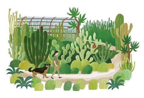 Botanical Gardens On Behance Garden Illustration Garden Drawing