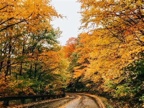 Vermont Road Trip An Expert S Guide To The Perfect Vermont Fall Road