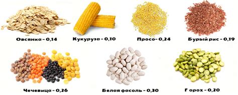 Фитиновая кислота в продуктах — какой вред она несет? Можно ли есть ...