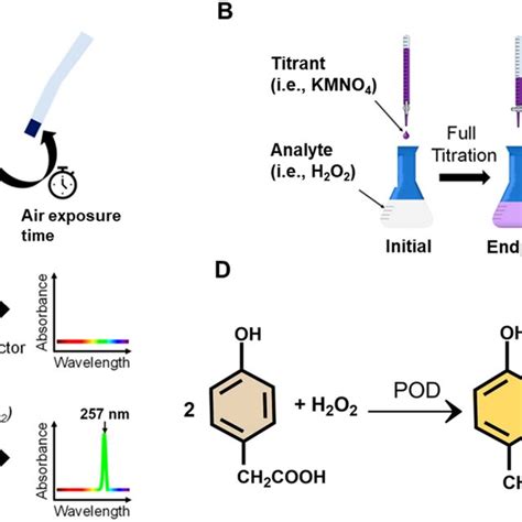 Schematic Representation Of Different H O Quantification Methods A