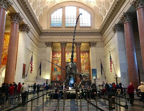 History Natural History Museum at Jeremy Tellez blog