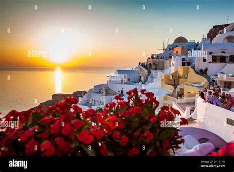 Santorini Island Greece Yellow Flowers Hi Res Stock Photography And