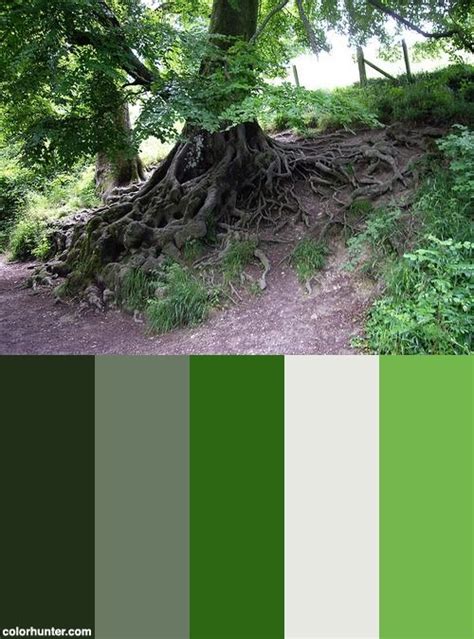 Tree Roots Color Palette Tree Roots Root Color Color Palette