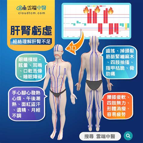 從經絡理解肝腎虧虛不足，運用穴道及中藥加以改善！ 雲端中醫養生