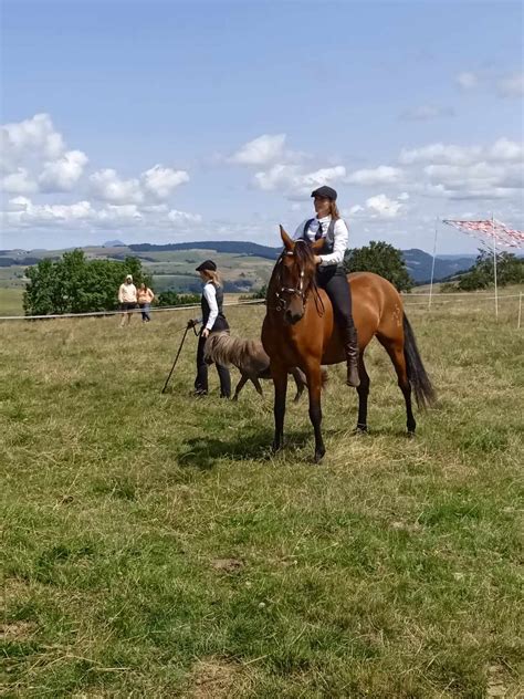 Foire De Brion Le 22 Juillet 2023 Vikinger