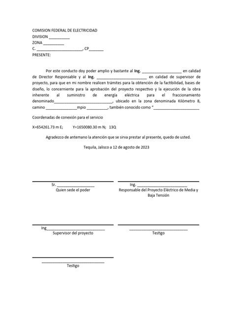 Carta Poder Cfe Pdf