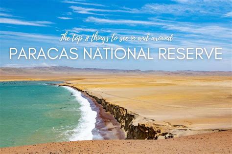 The Top 8 Things To See In Paracas National Reserve Next Level Of Travel