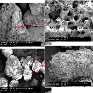 Representative Scanning Electron Microscope Images Of The Carbonate