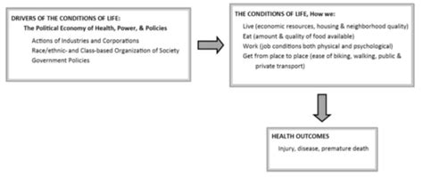 Social Determinants Of Health Exam 1 Flashcards Quizlet