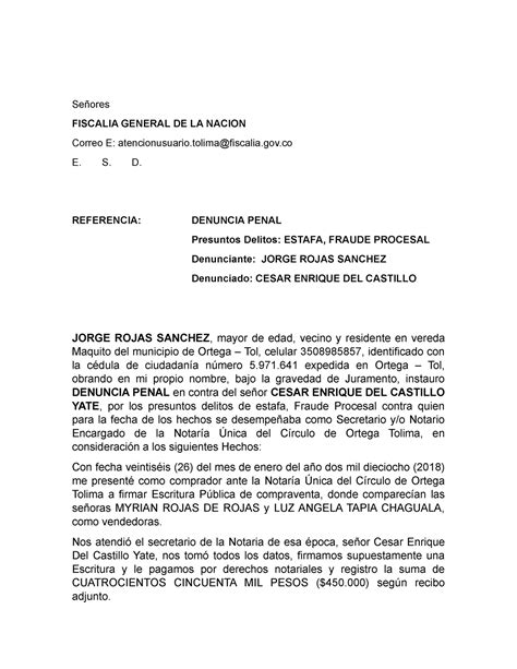 modelo de denuncia penal por estafa provincia de buen
