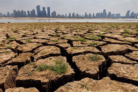 Bangkok Post Climate Change Chinese Scientists Say Flash Droughts