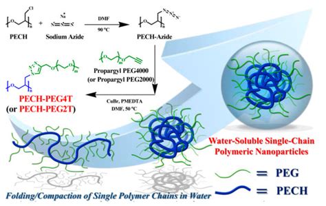 Single Chain Amphiphilic Polymeric Nanoparticles Encyclopedia MDPI