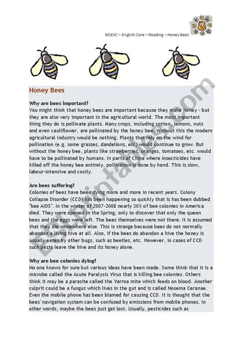 Reading Comprehension Honey Bees Esl Worksheet By Lynz0175