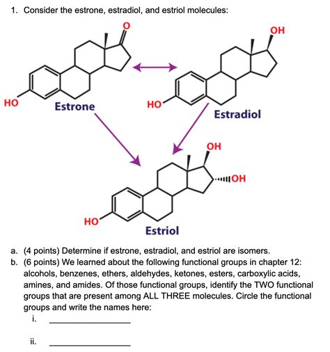 Solved Consider The Estrone Estradiol And Estriol Chegg