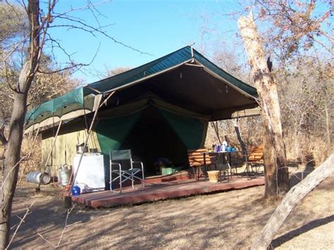 moretele tented camp borakalalo national park africa  sul  fotos