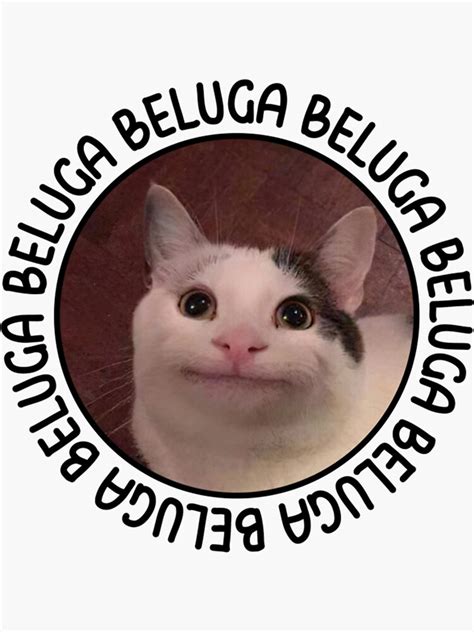 Beluga Cat Discord Meme Sticker For Sale By Liamandlore Redbubble