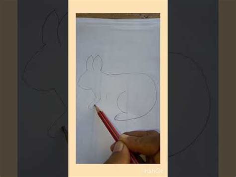 Rabbit Drawing. Easy khargosh Drawing. - YouTube