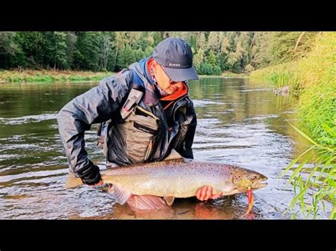 Rudeniniai lašišų spektakliai Žvejyba 2023 Salmon Fishing Adventure