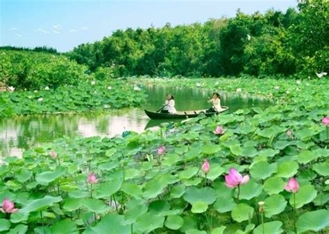 Láng Sen Wetland Reserve - Alchetron, the free social encyclopedia