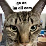 go on. im all ears Meme Generator - Imgflip