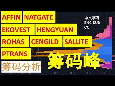 AFFIN NATGATE PTRANS SALUTE HENGYUAN ROHAS EKOVEST CENGILD CC 中英文字幕