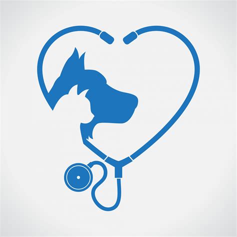 Dog & Cat Boarding in Stockton, CA | California Dog & Cat Hospital