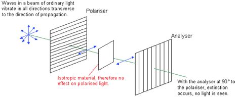 Polarization Physics