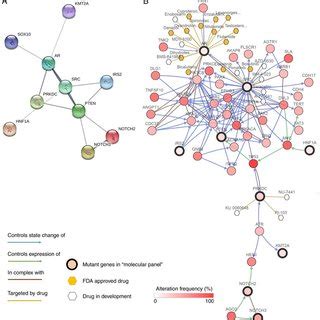 Mutant genes and mutation patterns detected in the patients with... | Download Scientific Diagram