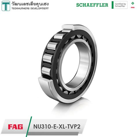 Fag Nu E Xl Tvp Cylindrical Roller Bearing Size X X