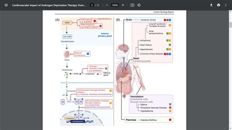 Exploring Cardiovascular Consequences of ADT in Prostate Cancer | Excel ...