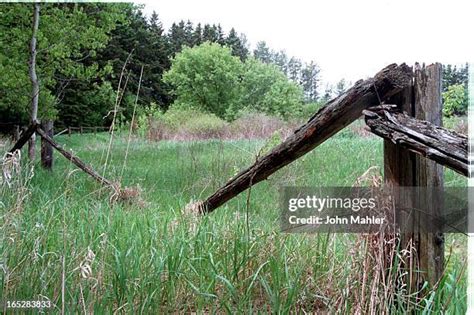 John Klepper Photos And Premium High Res Pictures Getty Images