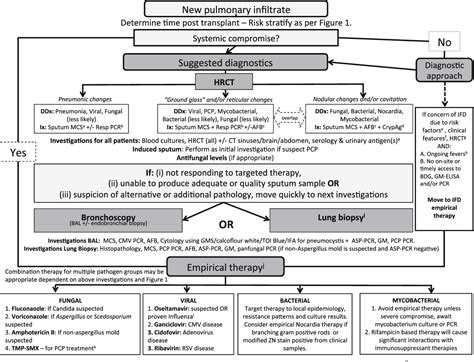 Figure 2 from ADVANCES IN DIAGNOSIS OF INVASIVE FUNGAL INFECTIONS ...